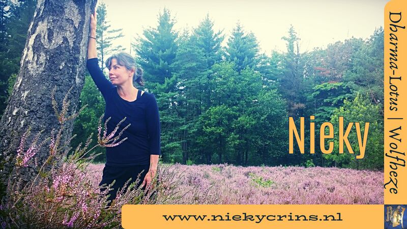 Bestand:Nieky.jpg